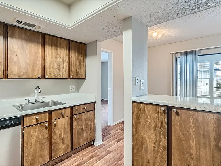 Rise Spring Pointe — Photo 123