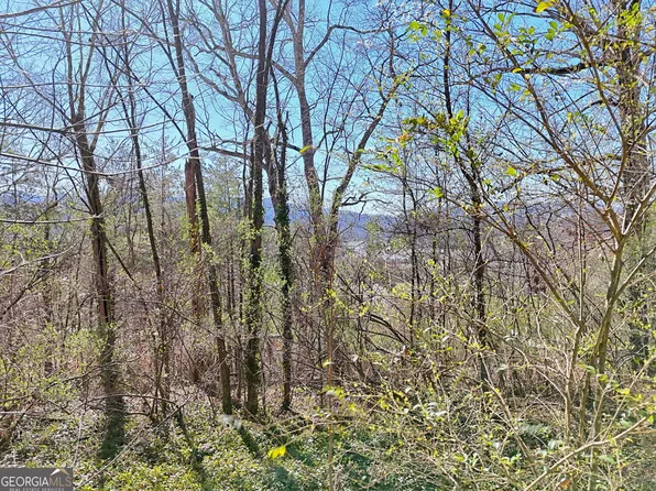 631 McRidge Rd, Hiawassee, GA 30546