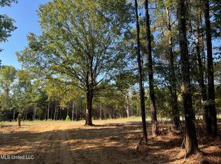 Stout Rd LOT 9-10, Canton, MS 39046