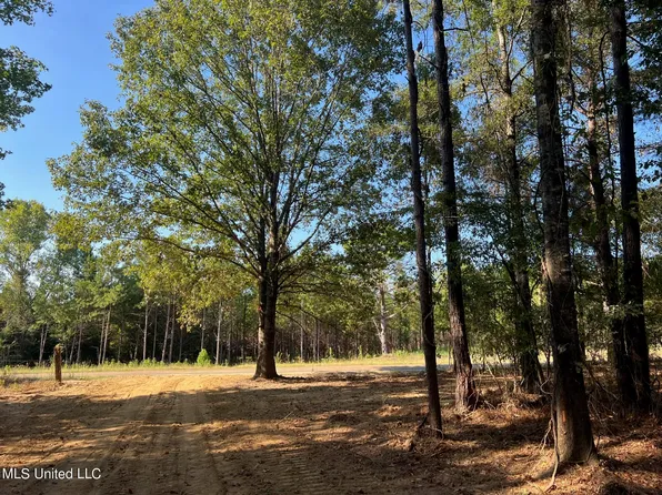 Stout Rd Lot 9-10, Canton, MS 39046