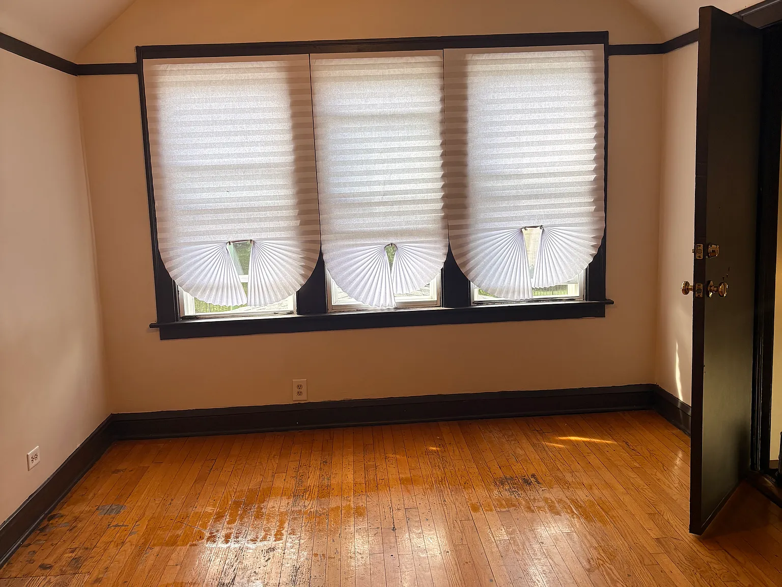 2 bed, 1100 sqft, $1,350 — Photo 1
