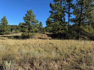 335 Silver Ln, Cotopaxi, CO 81223