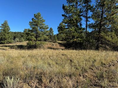 335 Silver Ln, Cotopaxi, CO, 81223