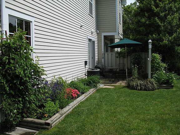 Back Yard - Patio