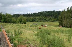 5th image of 5229 Ray Nash Valley Dr NW