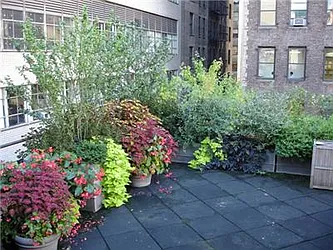 Rented by Time Equities, Inc.