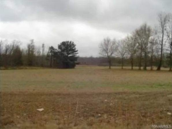57 Chesson Ct Lot 57, Fitzpatrick, AL 36029