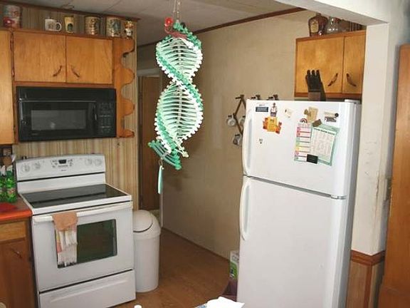 5th image of 1273 E Lake Ave