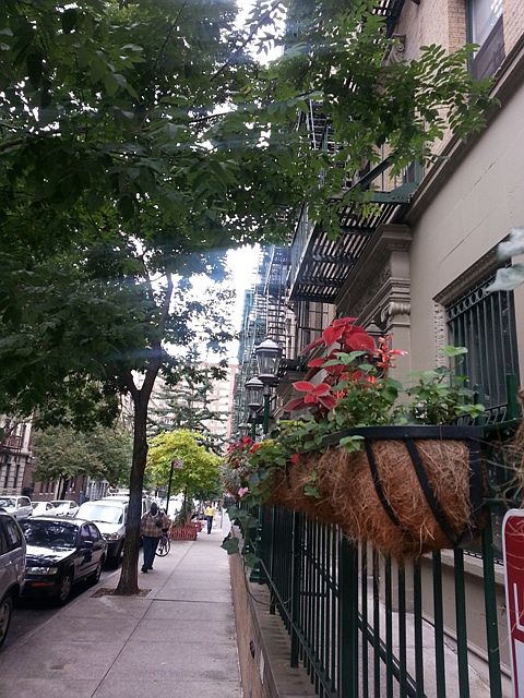 1st image of 100 W 141st St APT 22