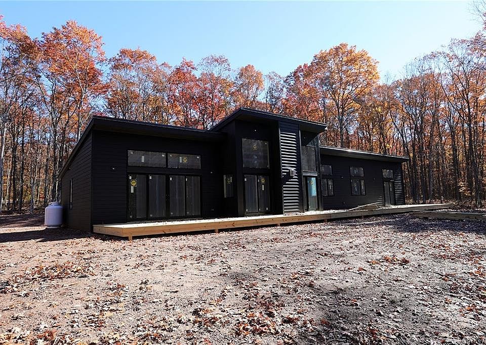 301 Cushetunk Drive, Cochecton, NY 12726 Zillow