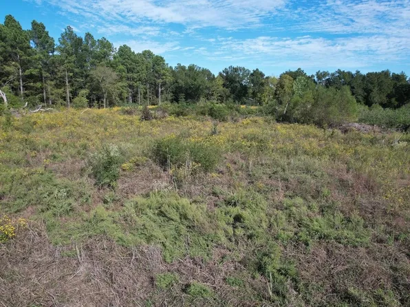 1184 S Fairway St, Fairfield, TX 75840