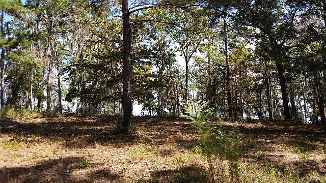 2nd image of 914 Lakeshore Dr