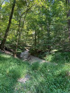 E Ramp Creek Rd, Bloomington, IN, 47401