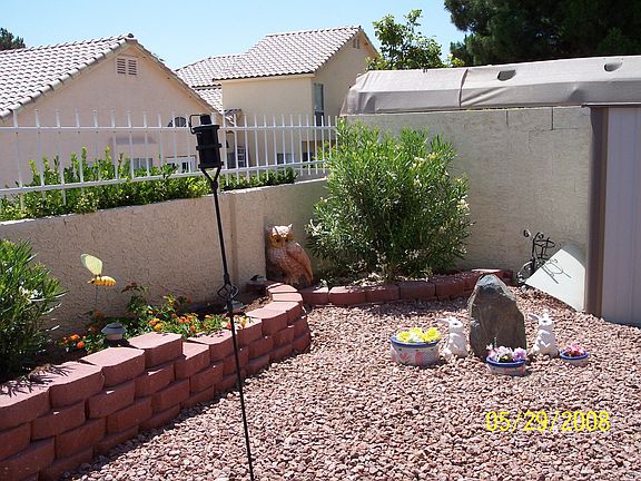 back yard