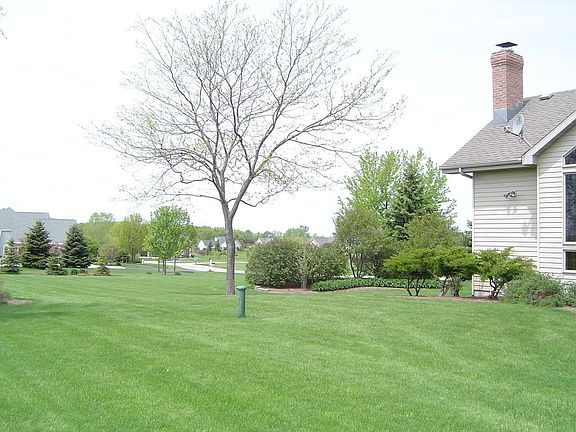 Southwestern View