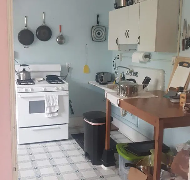 509 S Race St — Photo 12