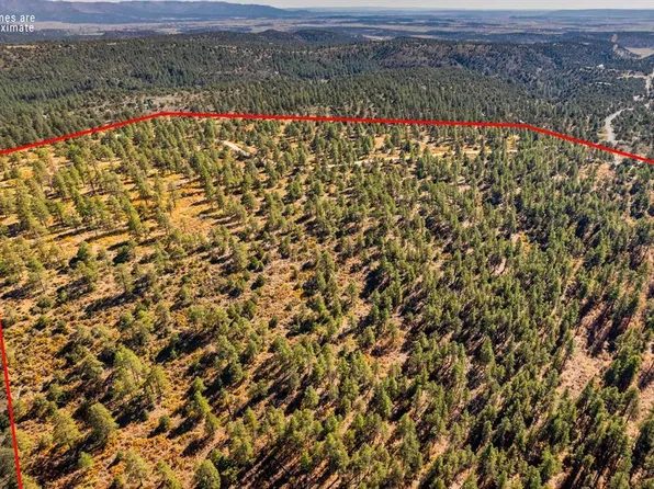 Lot 3 Foxfire Ranch, Bayfield, CO 81122