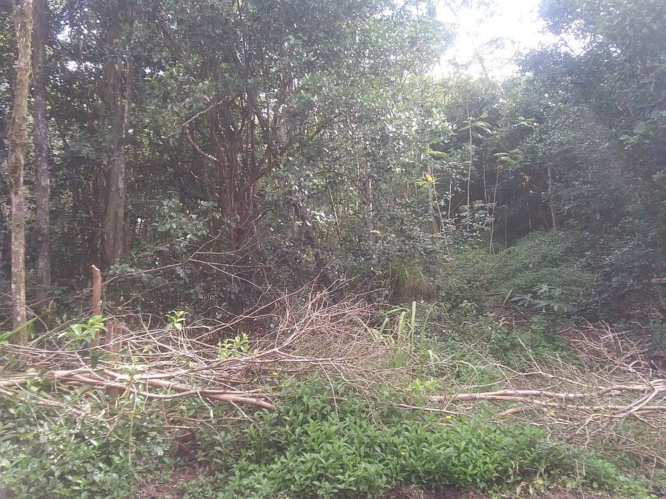 1st image of 26th Avenue Olena Lot 852