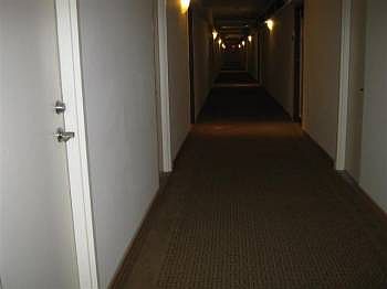 2nd image of 2121 N Bayshore Dr APT 513