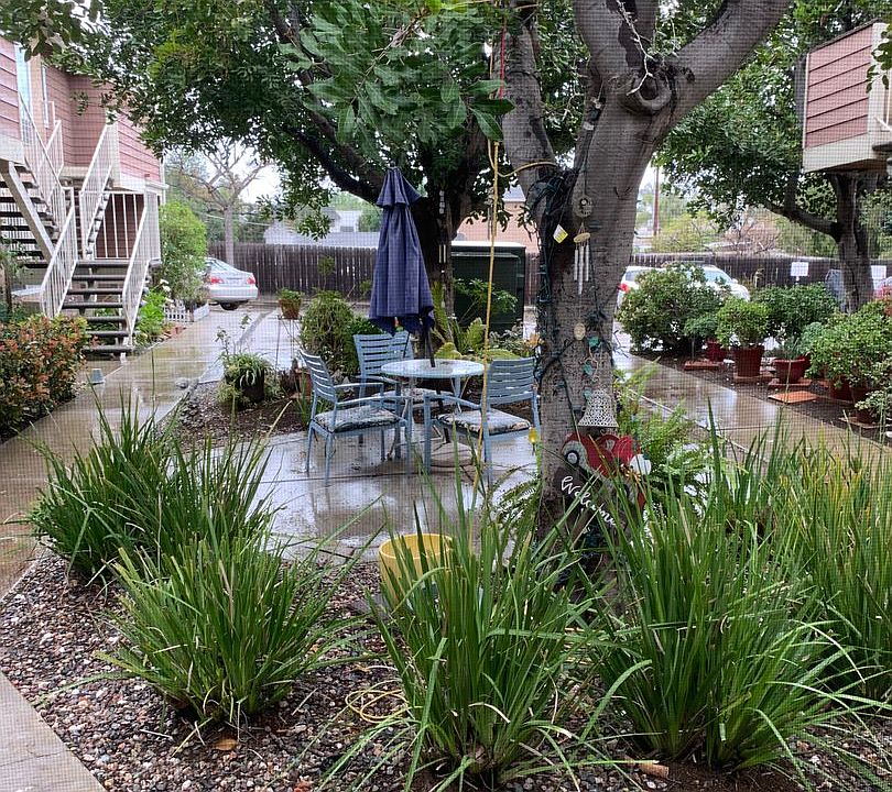 1st image of 1219 Persimmon Ave #22