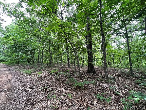 2nd image of Lake Forest Ests