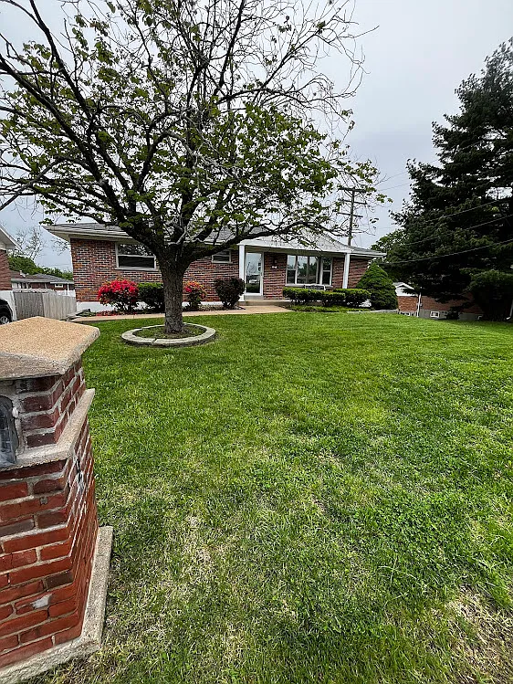 927 Buckley Rd photo 1