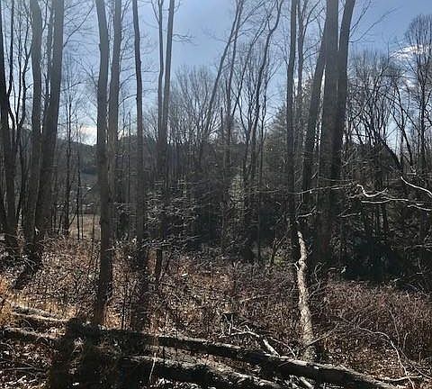 4th image of 820 Green Mountain Dr