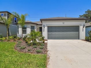 717 Little Cloud Pl, Valrico, FL 33594