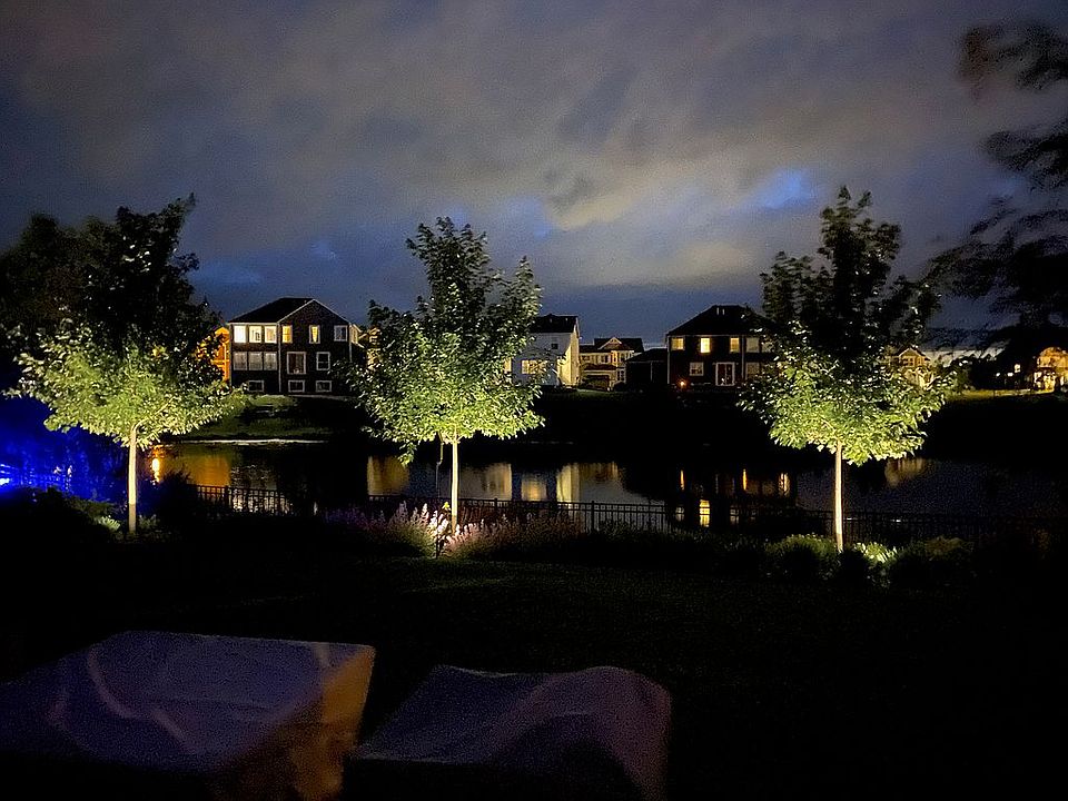 Garden at Night