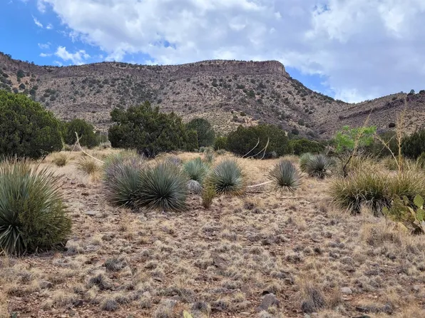 242 Rio Vista Rd, Mimbres, NM 88049