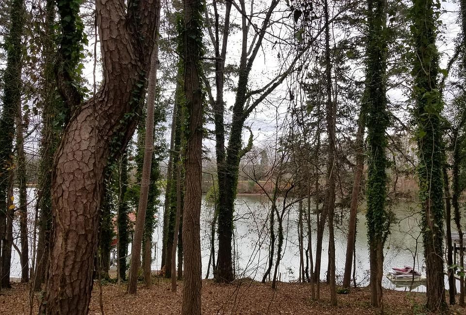 2nd image of Scenic Lakeview Dr