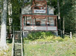 2510 Shadyside Rd, Findley Lake, NY 14736