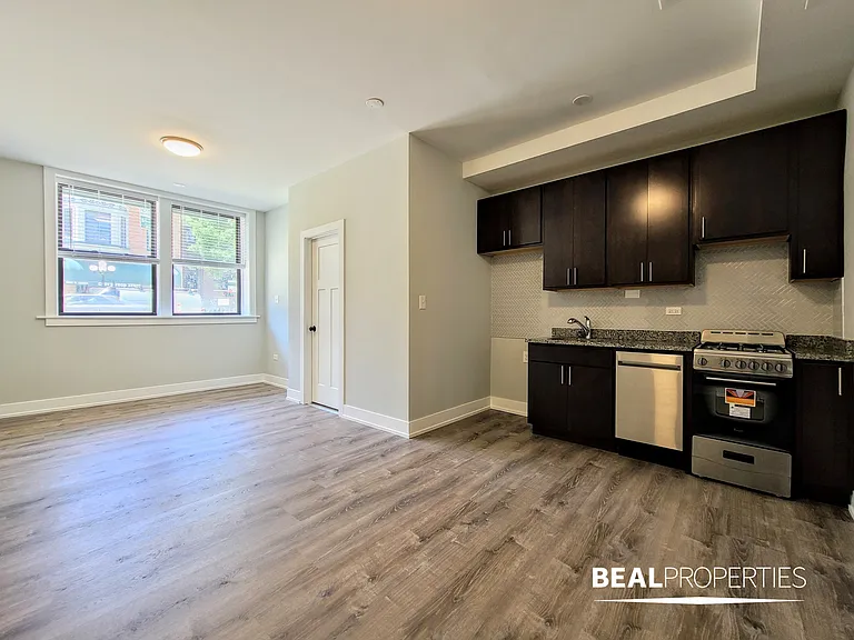 4851 North Damen — Photo 16