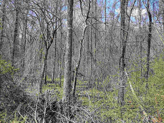 3rd image of 0 Younger Access Rd