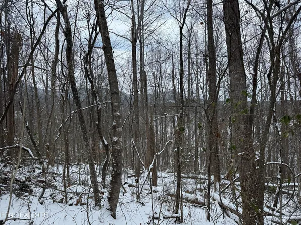 Christian Way Lot 1, Newport, TN 37821