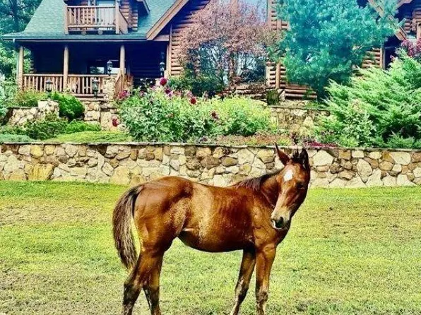 13410 Sonora Hardin Springs Rd, Eastview, KY 42732