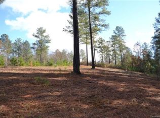 3157 Panoramic Vista Ct NE UNIT 64, Connelly Springs, NC 28612