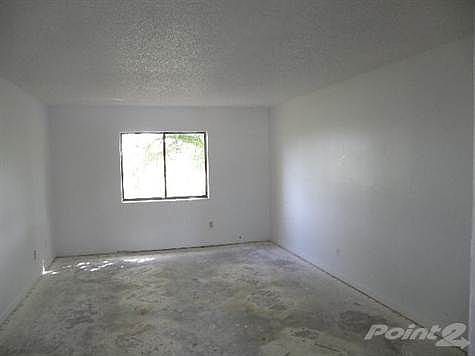 3rd image of 5020 Palm Hill Dr APT 111