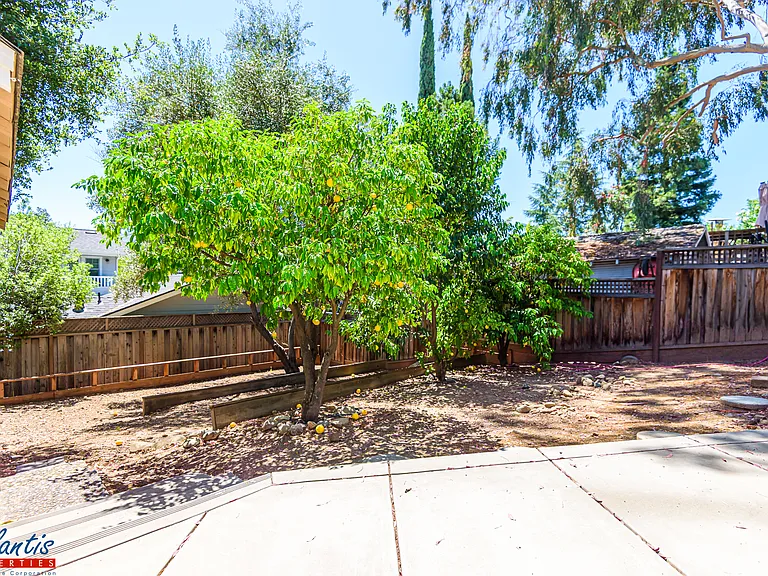 428 University Ave — Photo 14