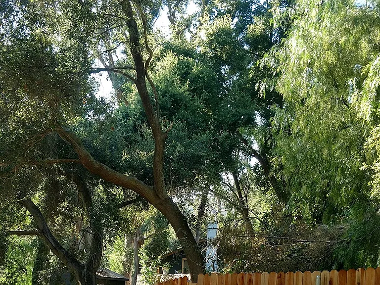 Old Topanga Canyon Rd — Photo 16