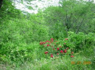 0 Old Us Highway 19 #A, Bryson City, NC 28713