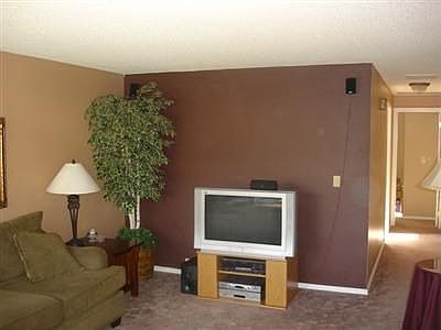 Living Room - Designer Paint