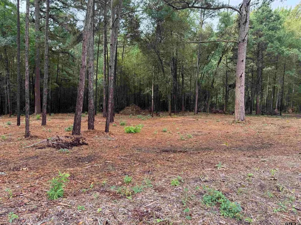 11503 County Road 168, Tyler, TX 75703