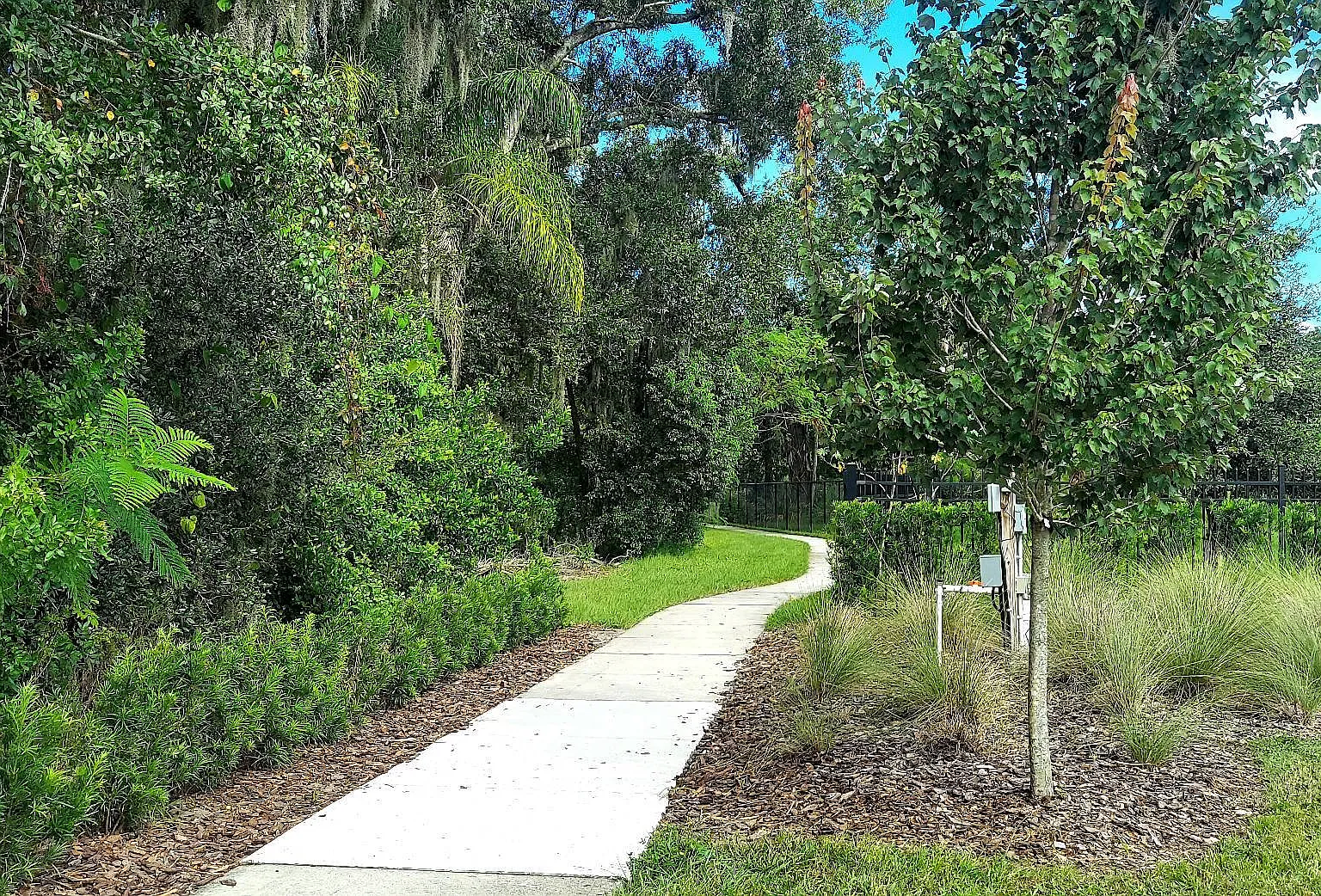 353 Villa Corte Drive - 1 — Photo 2