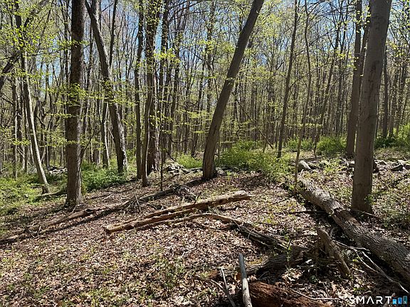 4th image of 163 Clapboard Ridge Road