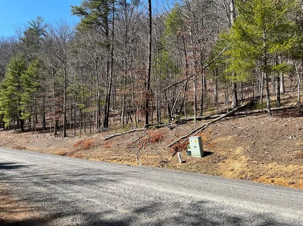 New River Oaks Dt, Austinville, VA 24312