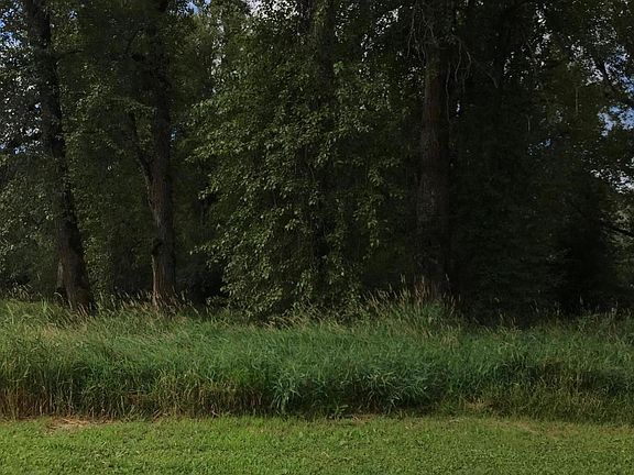 3rd image of NKA Trout Ln