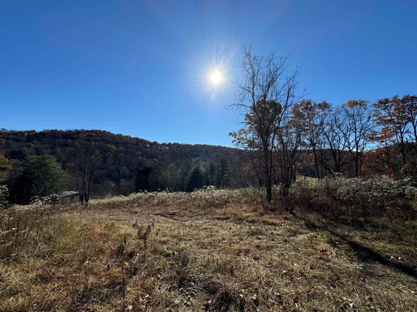 1299 Nellie Hole Rd, Wallace, WV 26448