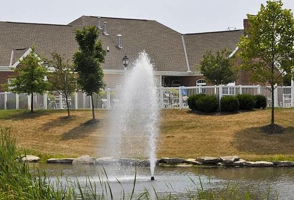Pond