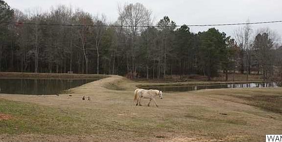 2nd image of 13783 Crawford Dr